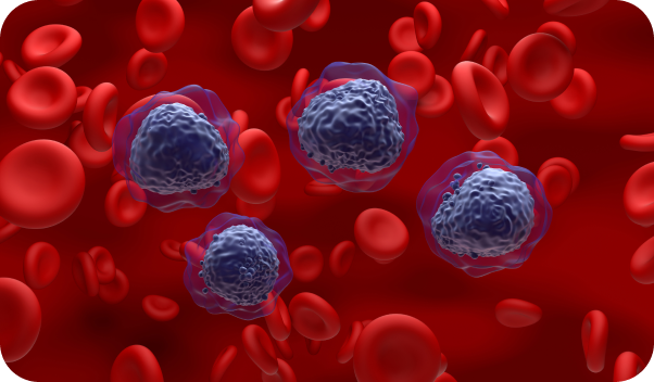 Illustration of blood cancer cells